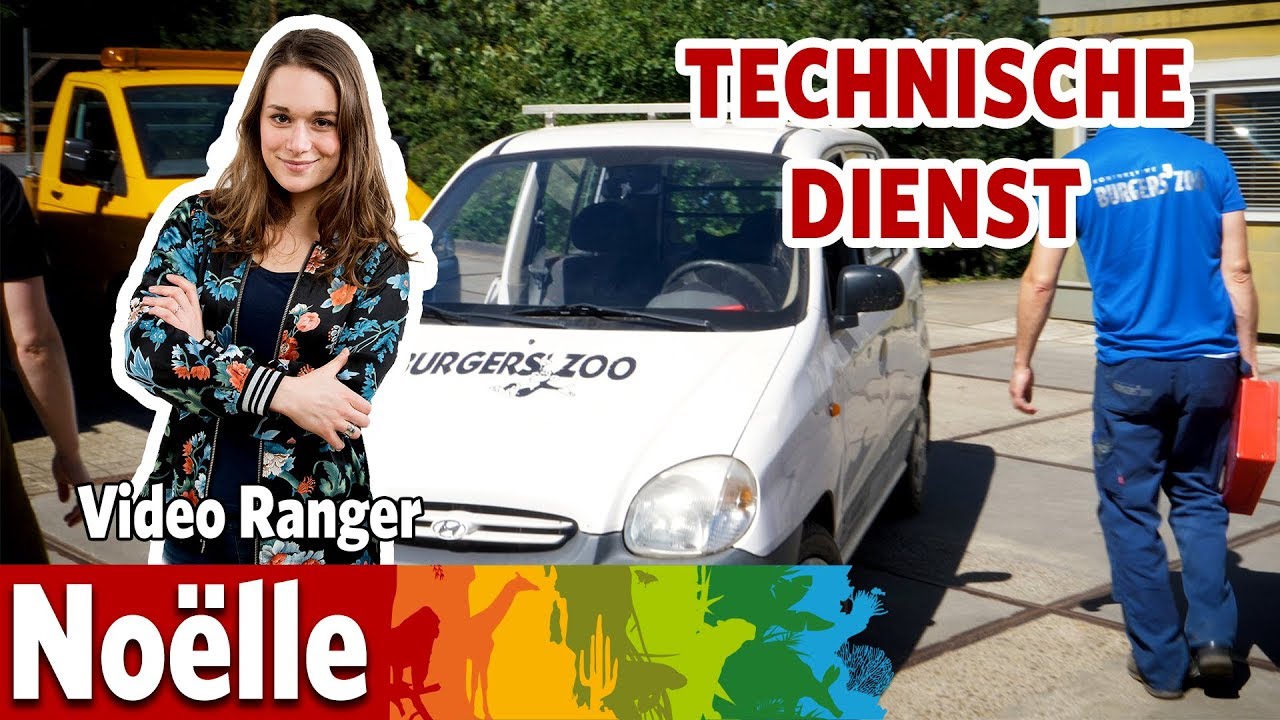 Wat doet de Technische Dienst?