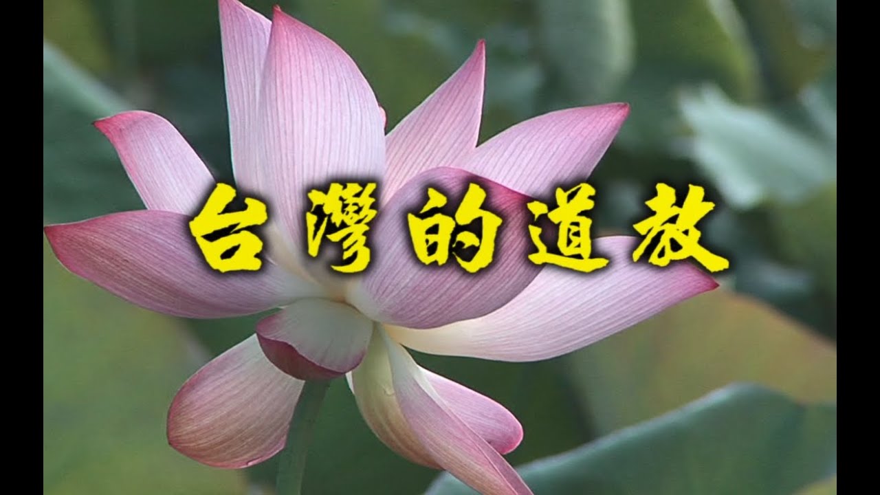 《台灣系列》寺廟篇✨🚗｜ 不間斷帶您一同探索台灣寺廟景點之美｜靖天電視台熱播中📺