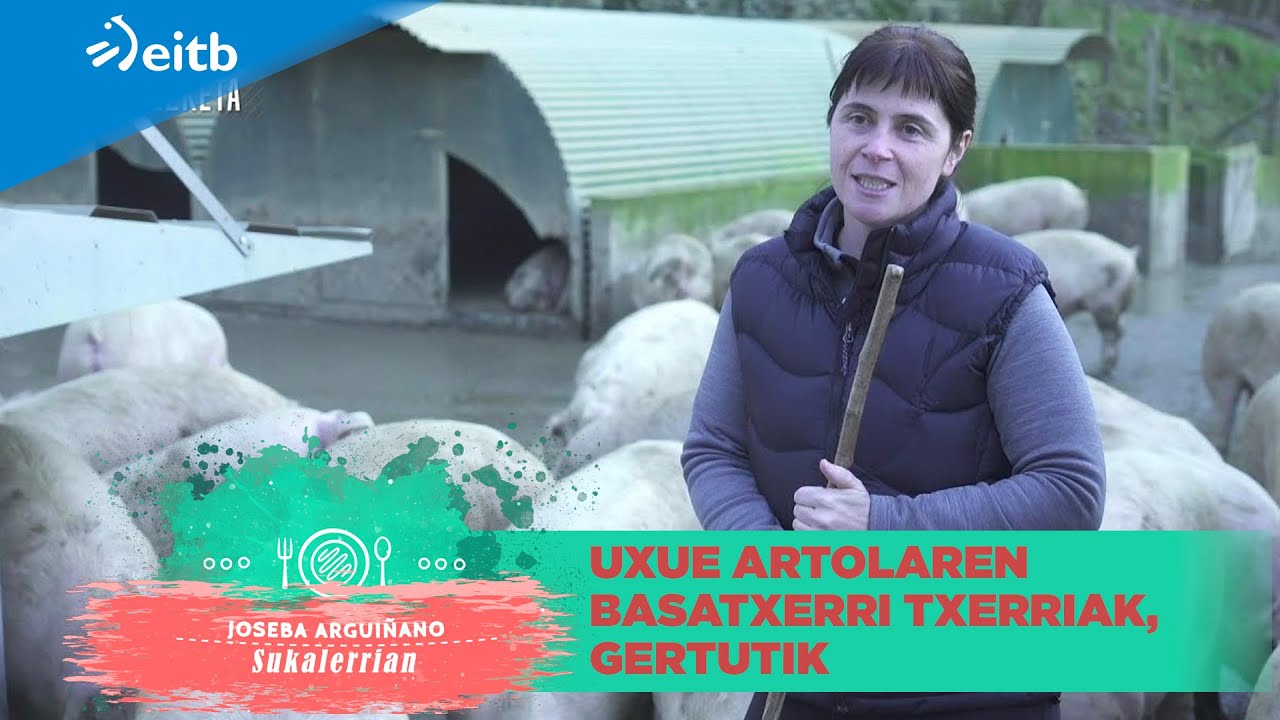 Uxue Artolaren Basatxerri txerriak, gertutik