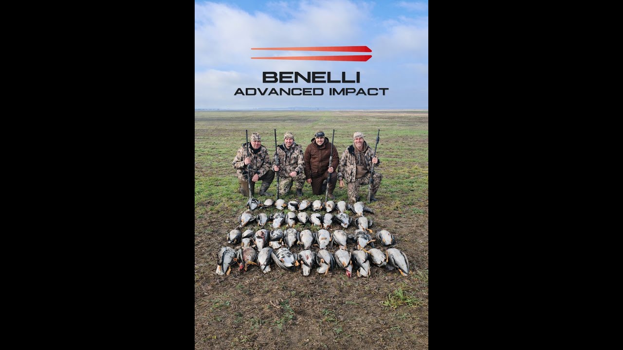 Vanatoare la gasca in Insula Mare a Brailei, testam noul Benelli Super Black Eagle 3 Advanced Impact