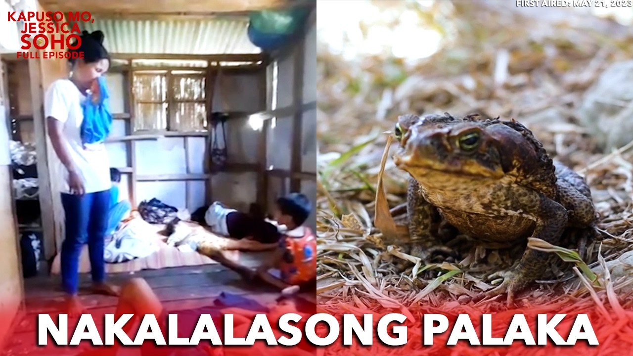 MAGKAKAPATID SA ZAMBOANGA DEL NORTE, NALASON SA PAGKAIN NG PALAKA | Kapuso Mo, Jessica Soho