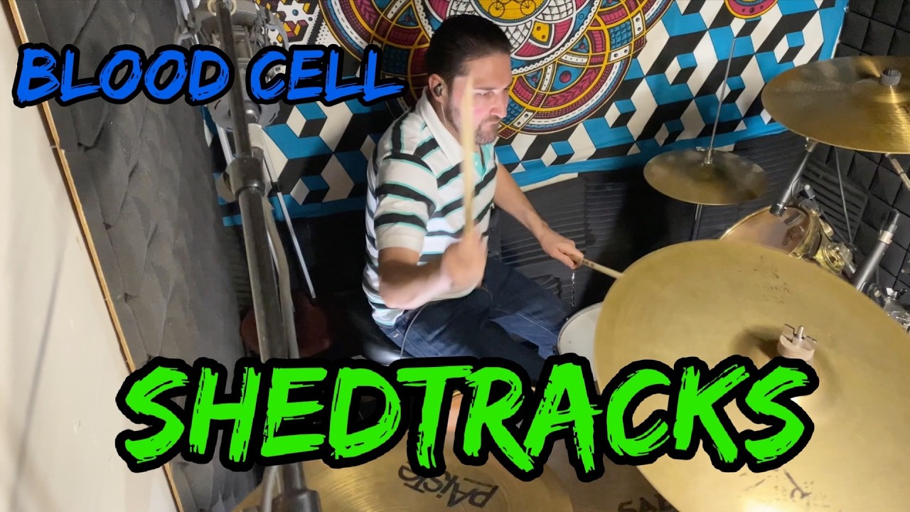 Shedtracks - Blood Cell - Drum Playthrough