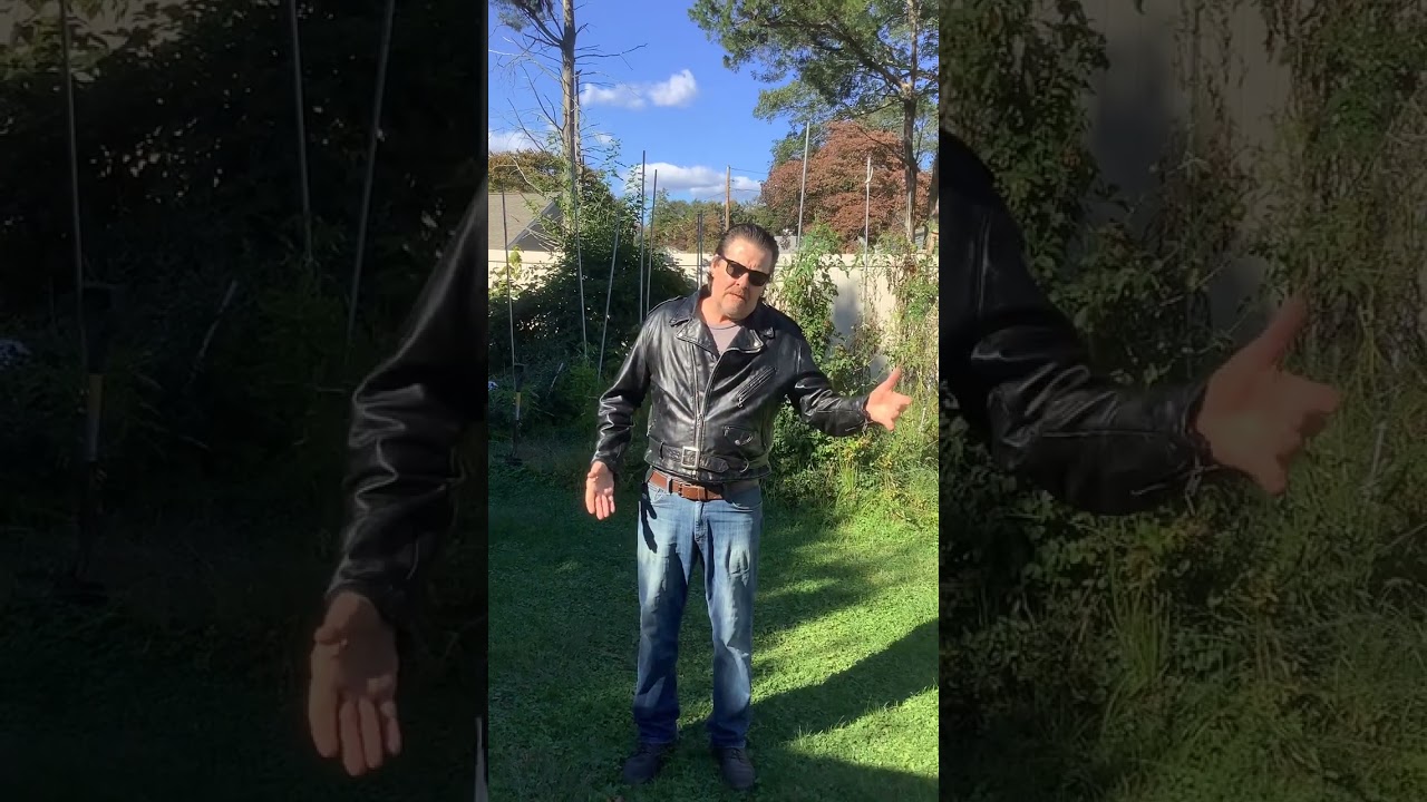 Schott Leather Jacket Follow-up 