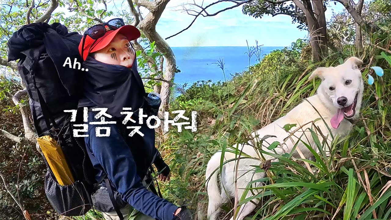 처음 본 댕댕이와 위험천만 오지 산행 후 텐트 치고 이틀 밤