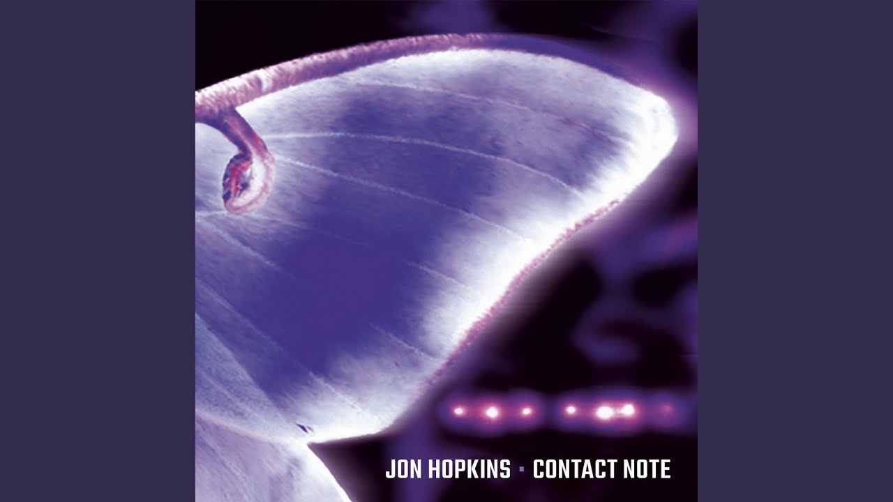 Luna Moth