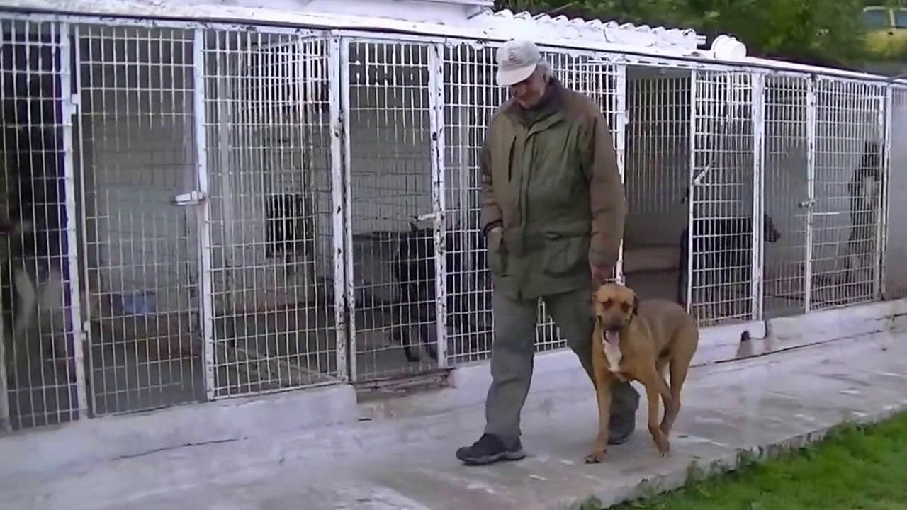 &Eta;&mu;ί&alpha;&iota;&mu;&omicron;&sigmaf;, &delta;&upsilon;&nu;&alpha;&tau;ό &delta;ά&gamma;&kappa;&omega;&mu;&alpha; .&Delta;&epsilon;ί&tau;&epsilon; &pi;&epsilon;&rho;&iota;&sigma;&sigma;ό&tau;&epsilon;&rho;&alpha; &sigma;&tau;&omicron; www.alfipi.gr  youtube Alekos alfipi