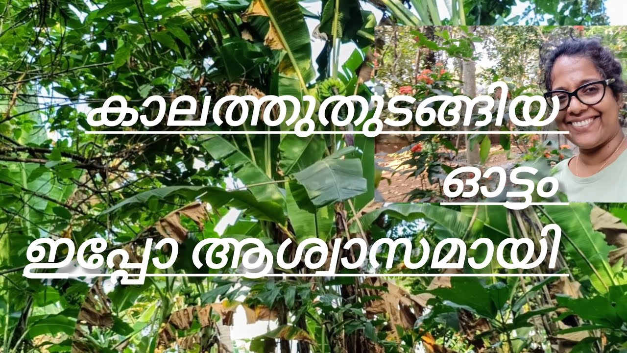 കാലത്തുതുടങ്ങിയഓട്ടംഇപ്പൊ ആശ്വാസമായി @Achinthyaaprasadfamilyvlog #Dayinmy life #Dailyvlog #Morning 