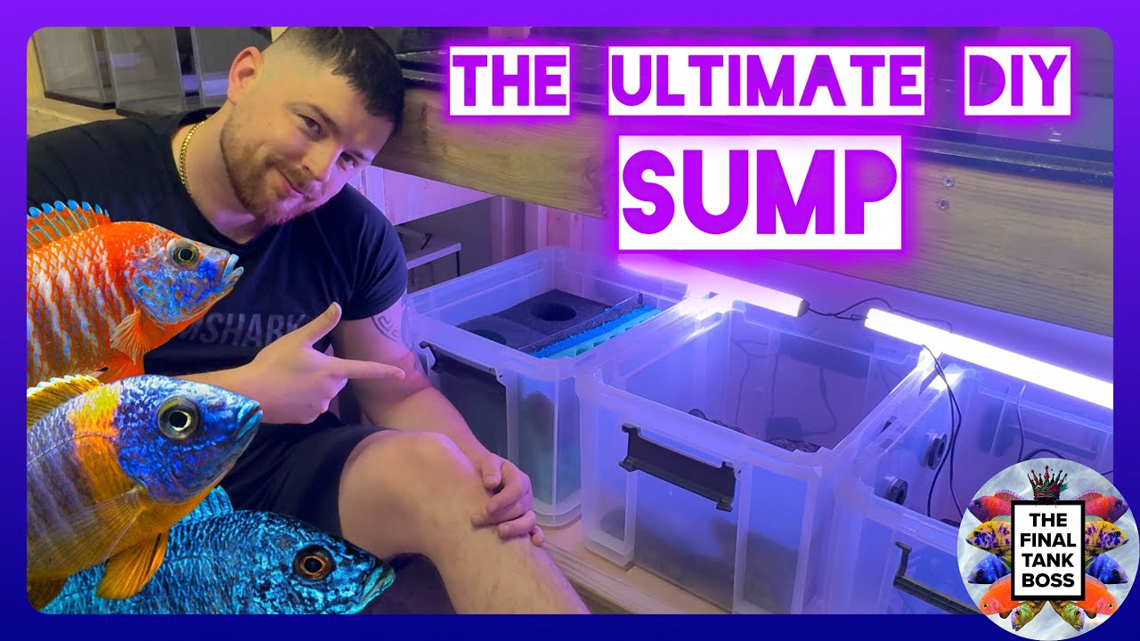 DIY Aquarium Sump on a Budget | Powerful Filtration for Less