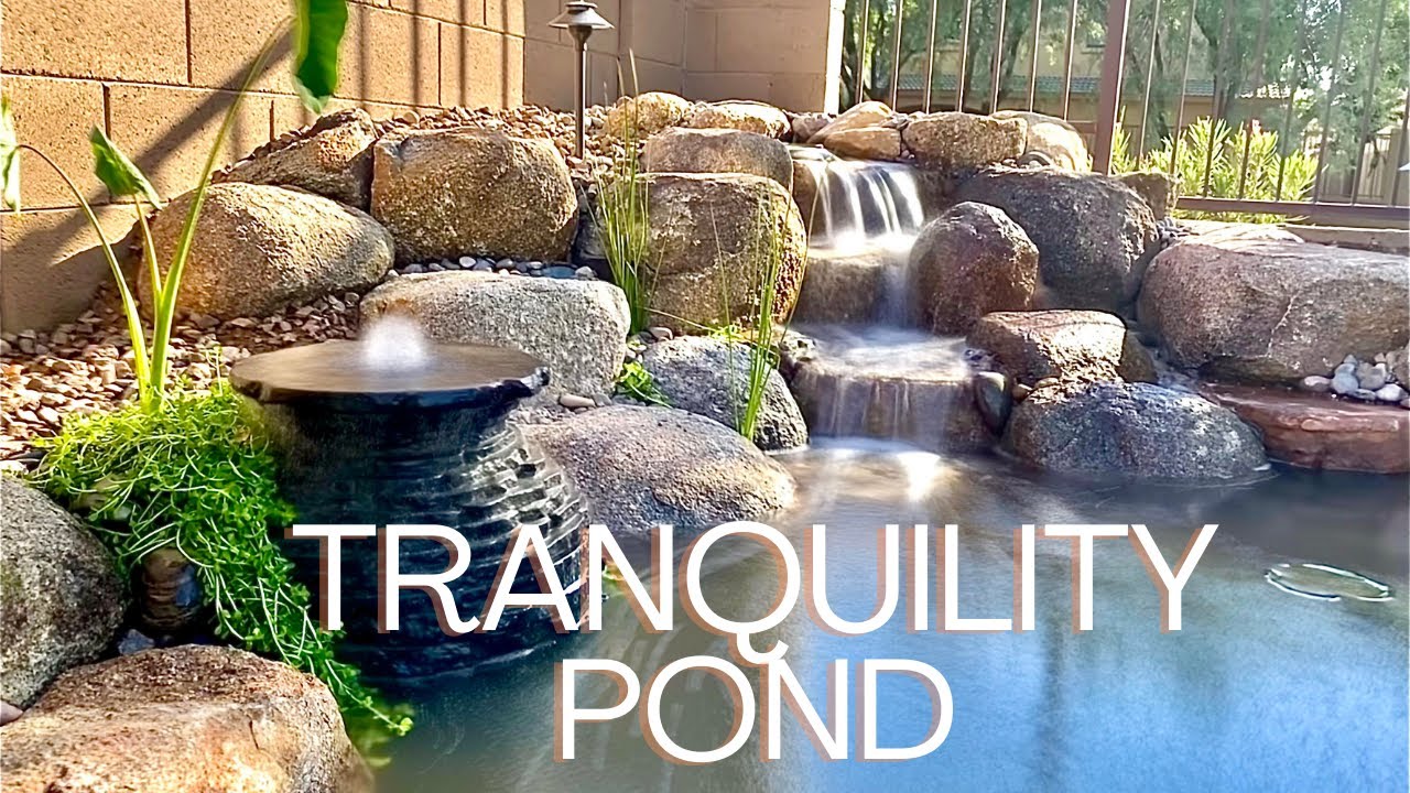 Sanctuary for a NURSE! Backyard pond for a Labor & Delivery Nurse to decompress.