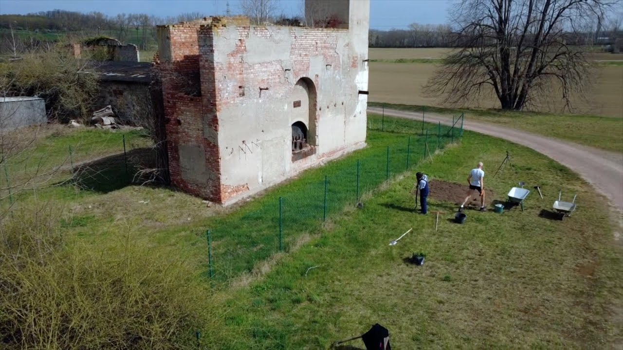 A Garden Awakens - Clearing Land & Discovering a Forgotten Cellar