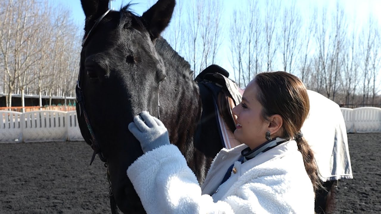 The Year Of The Horse