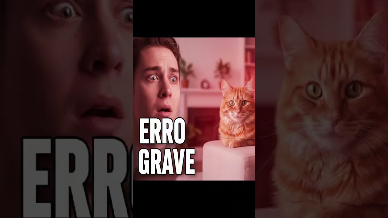 NÃO FAÇA ISSO COM SEU GATO!