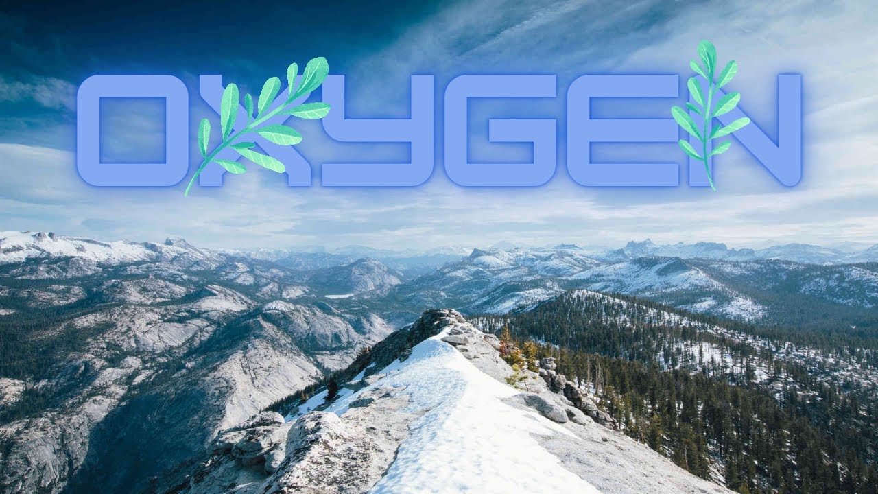 OXYGEN X BISZ3R ( Feat YuYu1162 )