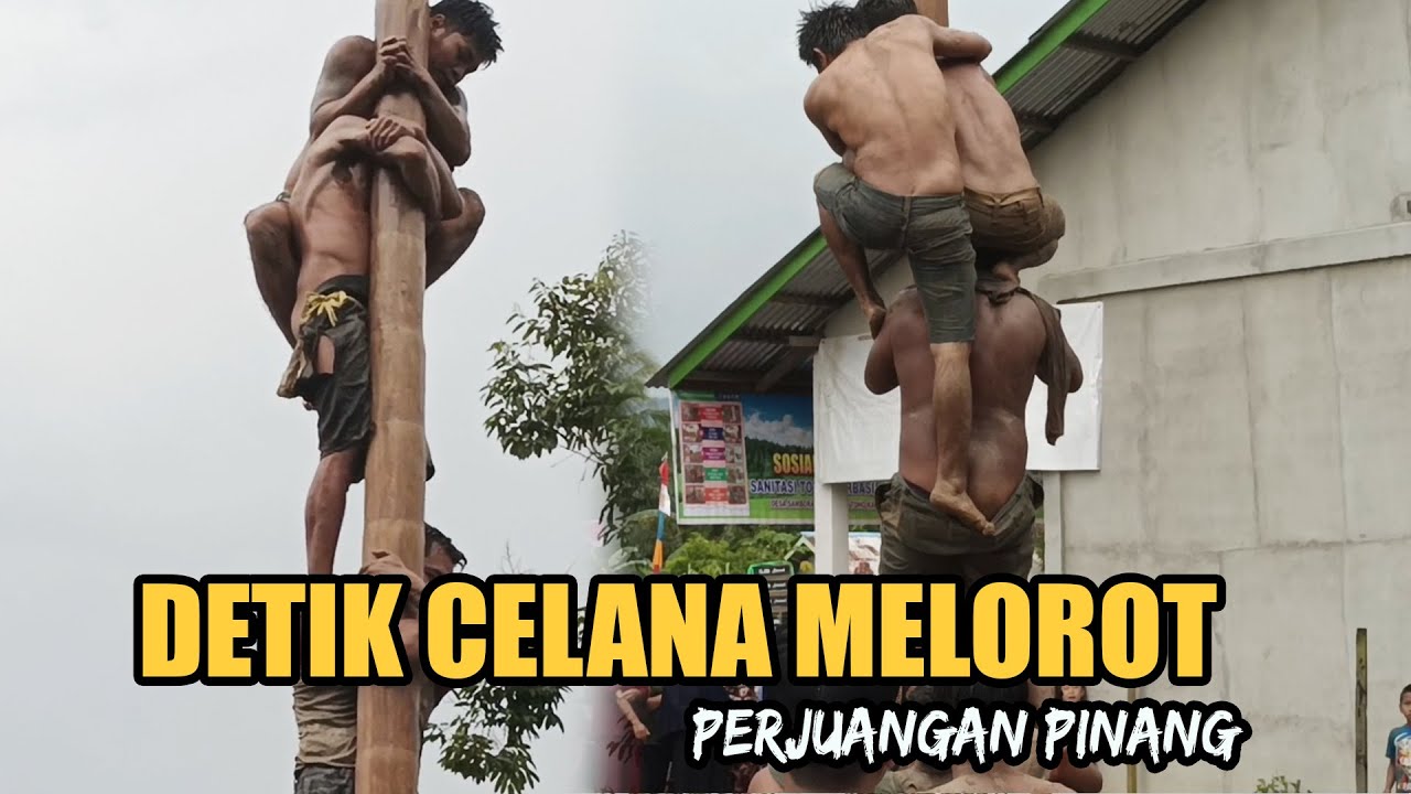 Detik Celana Melorot Perjuangan Panjat Pinang di Desa Sambora, Meriah HUT Kemerdekaan 77 RI