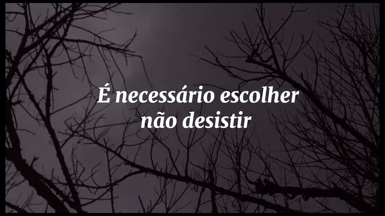 Devocional Diário - O Perdão 