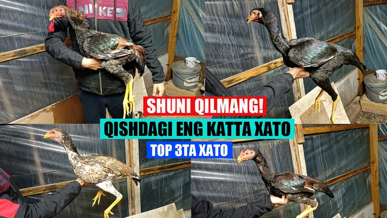 QISHDA JO'JALAR O'LISHING 3 TA SABABI