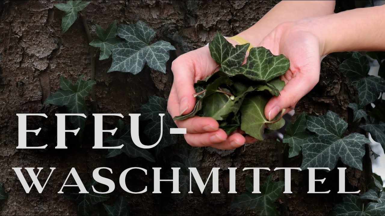 Natürliches Efeu-Waschmittel selbst herstellen || Meine Erfahrungen & Tipps
