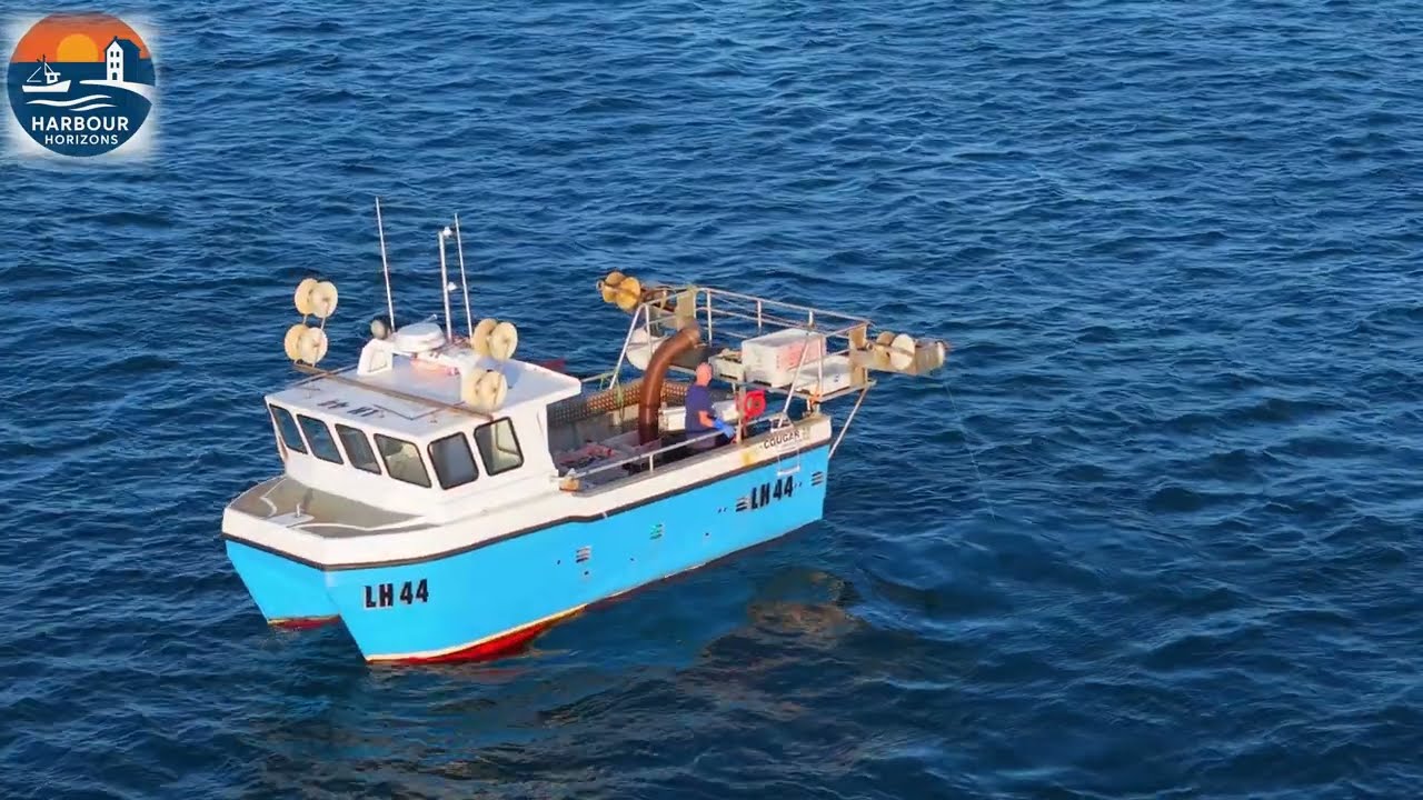 Mackerel Fishing off Eyemouth Harbour | Boats Fortunatus, Czar & Beeny 