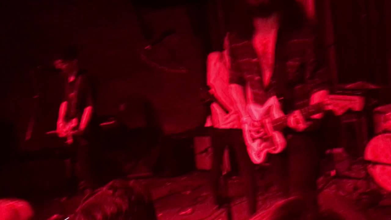 we found two dead swans and filled their bodies with flowers | teen suicide Live in Dallas 8/14/16