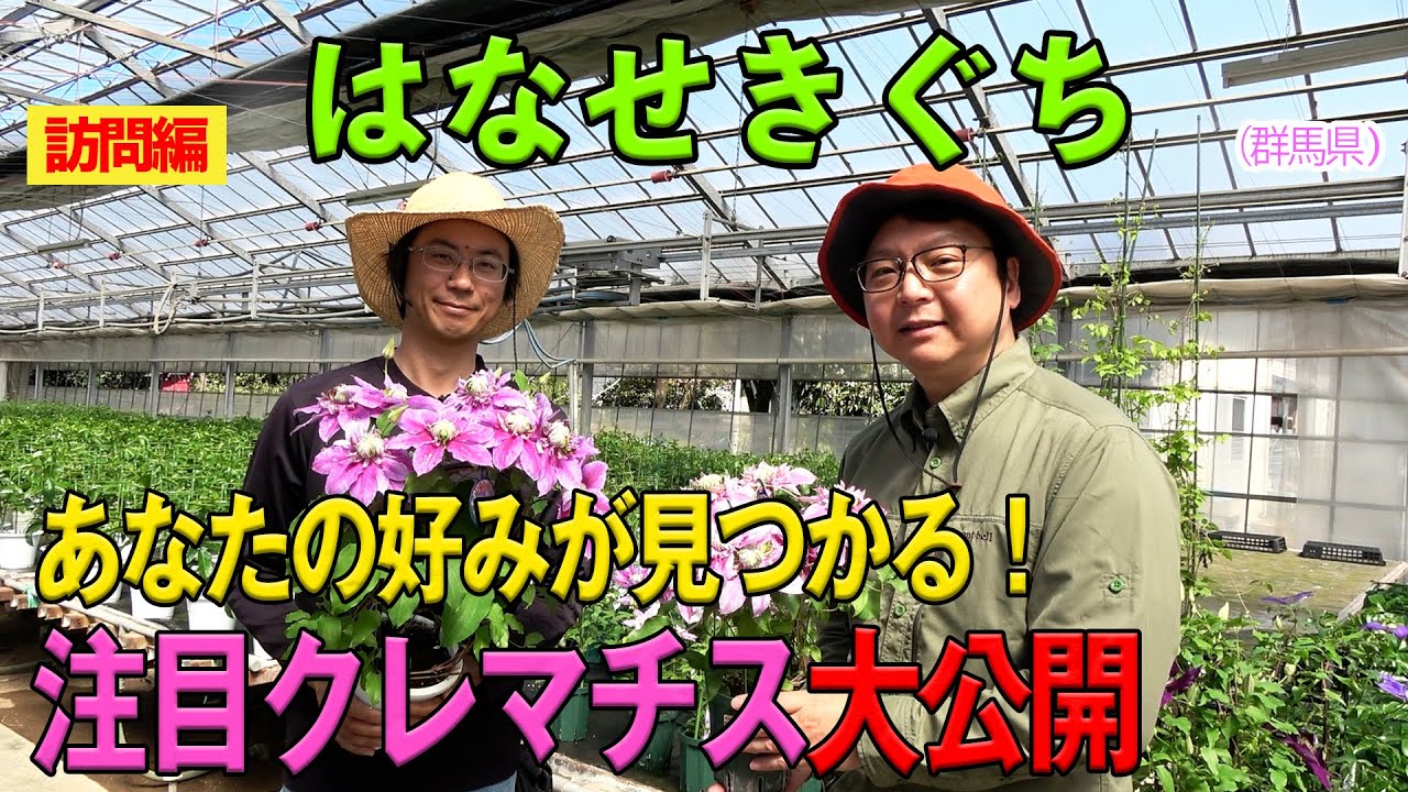 あなたの好みが見つかる！注目クレマチス大公開（はなせきぐち）～ガーデンドクターTV166