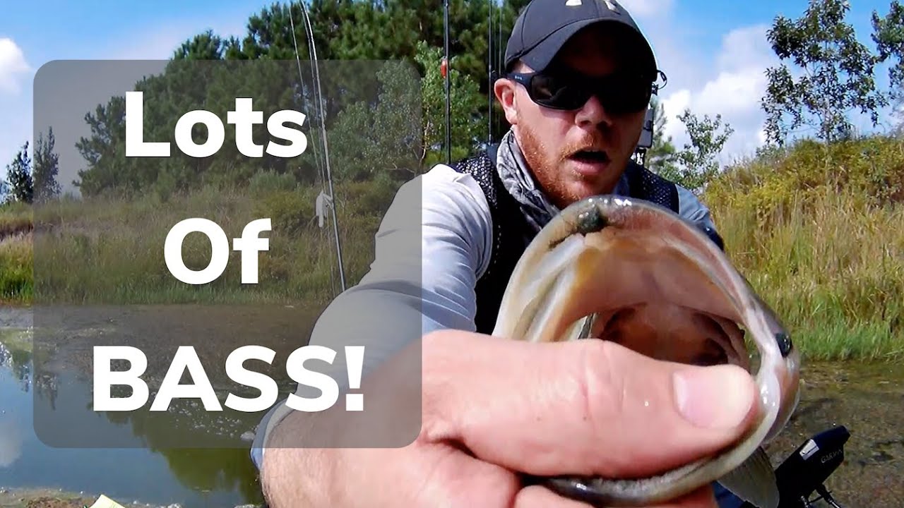 10 Bass Day while using Tech Guy Fishing Baits!