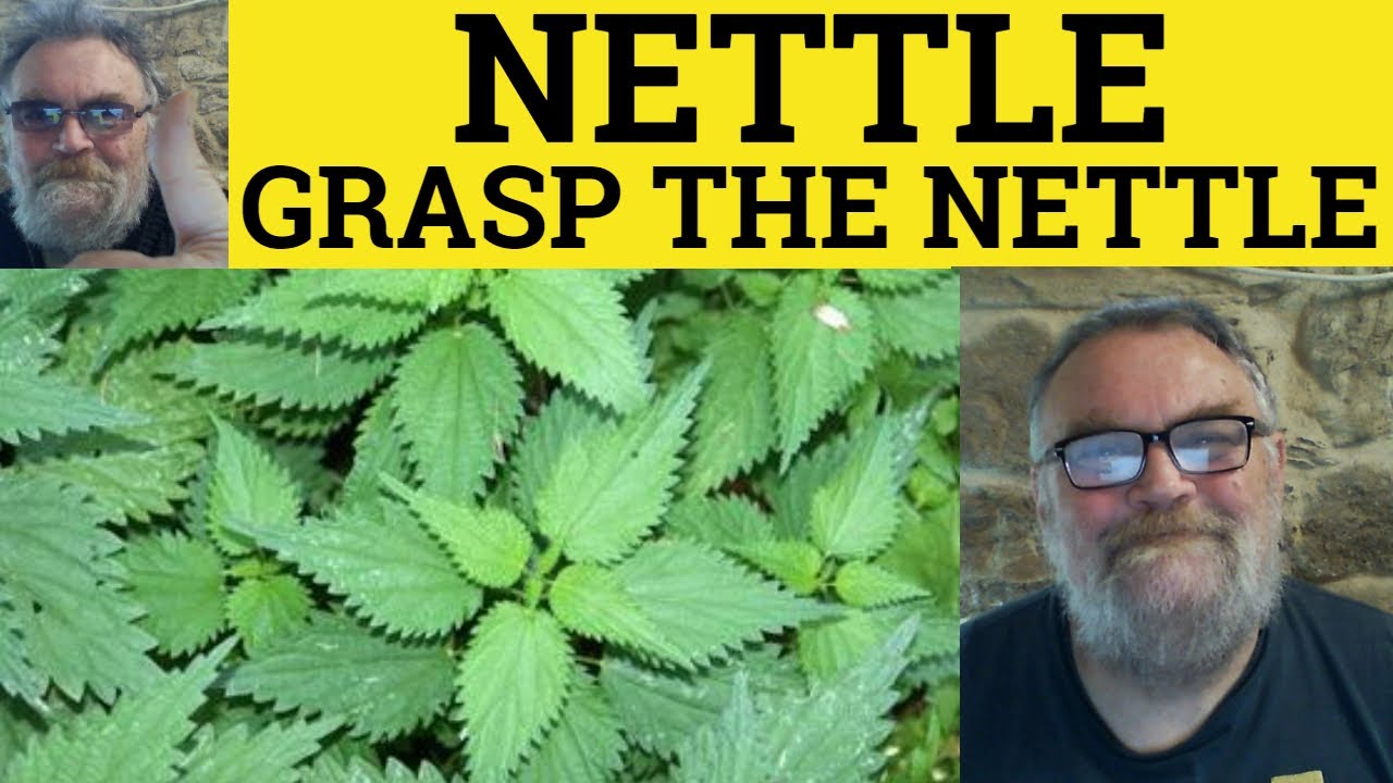 🔵 Nettle Meaning - Grasp the Nettle Explained - Nettle Examples - Idioms - Grasp the Nettle
