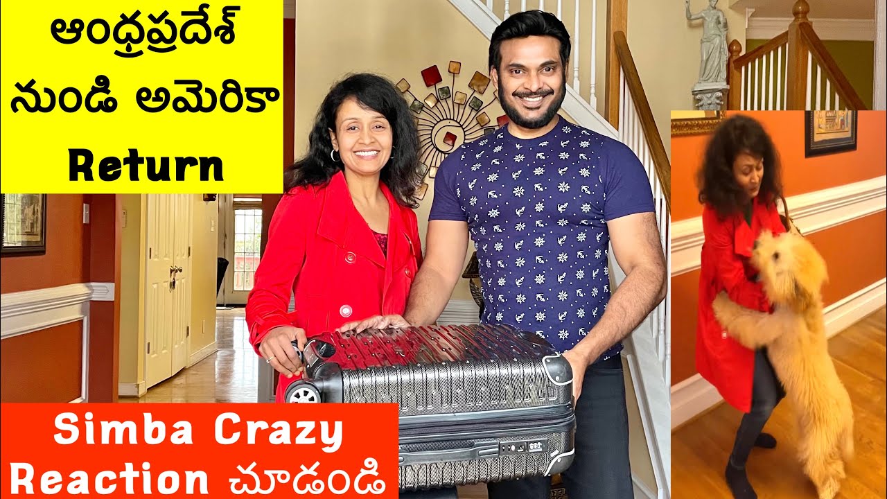 Big Boss back in the USA | Successful surprise Vizag trip | Dog 🐶 reactions | Ravi Telugu Traveller