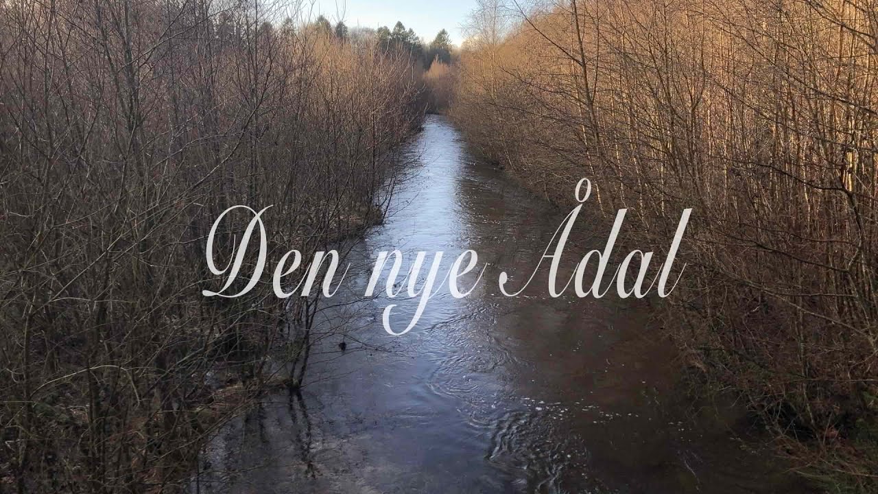 Skjern Å - i den tidligere elværksø ved Brande (Sådan ser det ud i Januar 2025)