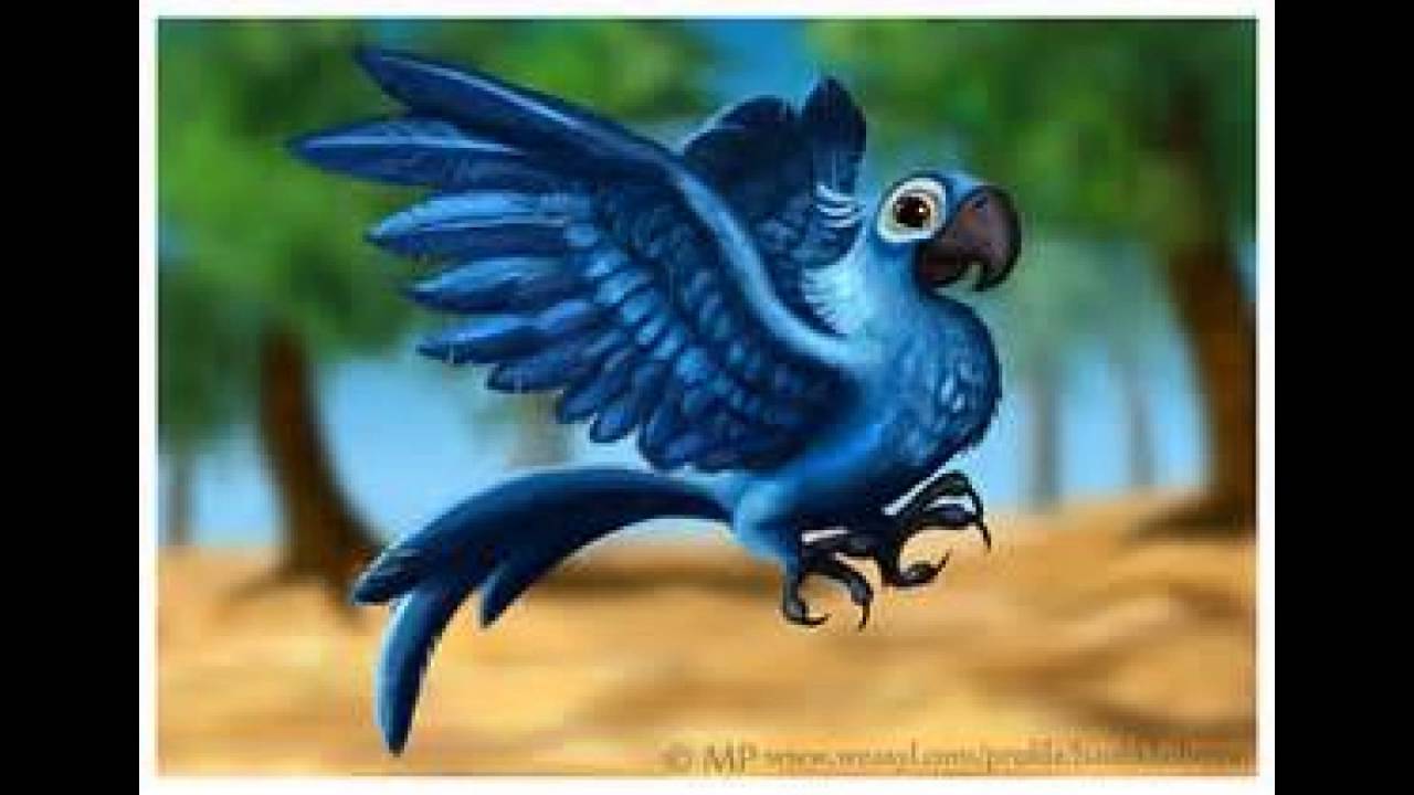 Rio. im blue.. BLUE MACAW 1 REMIX...