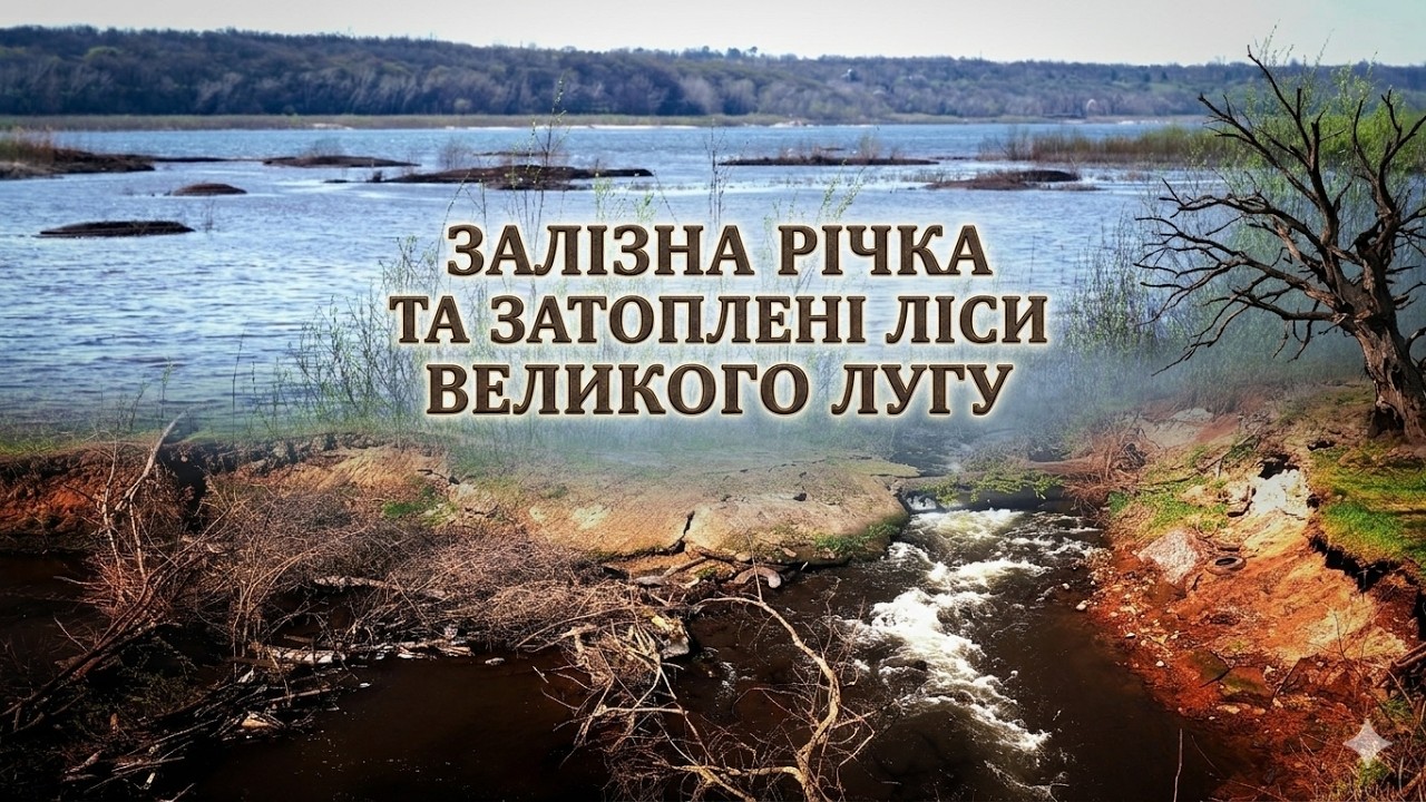 Залізна річка та затоплен ліси Великого лугу