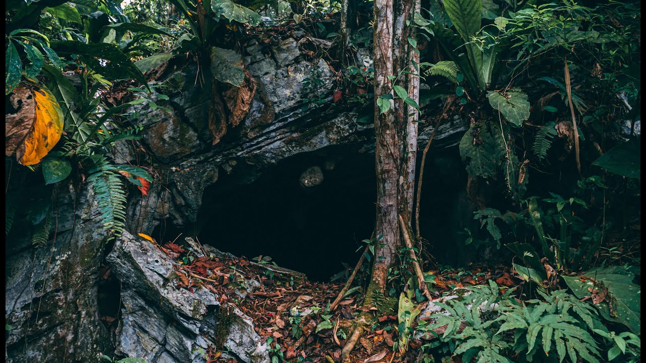 My trip to one of Cumaca Cave in Valencia Trinidad, showing you the way/ Sulphur Spring. hike