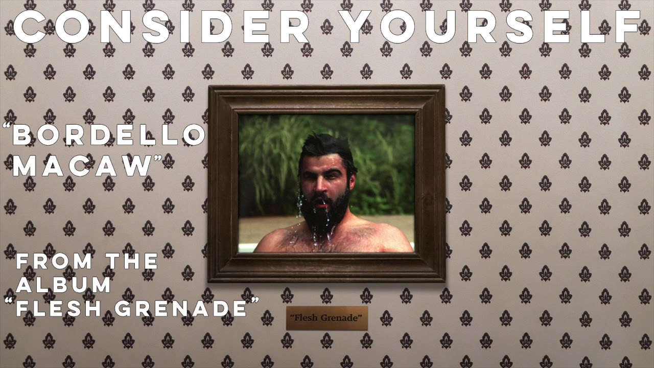 Consider Yourself - Bordello Macaw