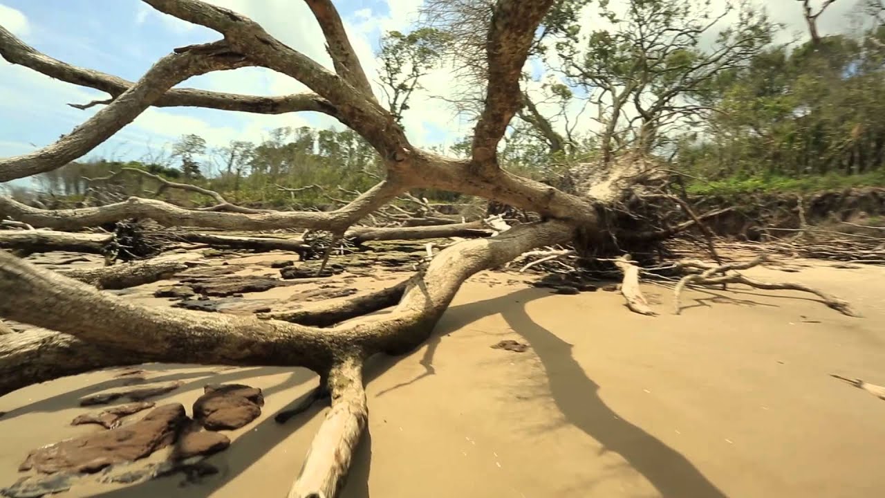 Big Talbot Island Park Florida Blackrock Beach