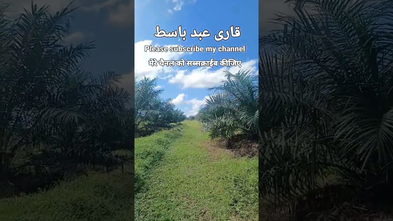 #palmas #shortvideo #trendingshorts #arabic #quran #qari #Abudlbasit