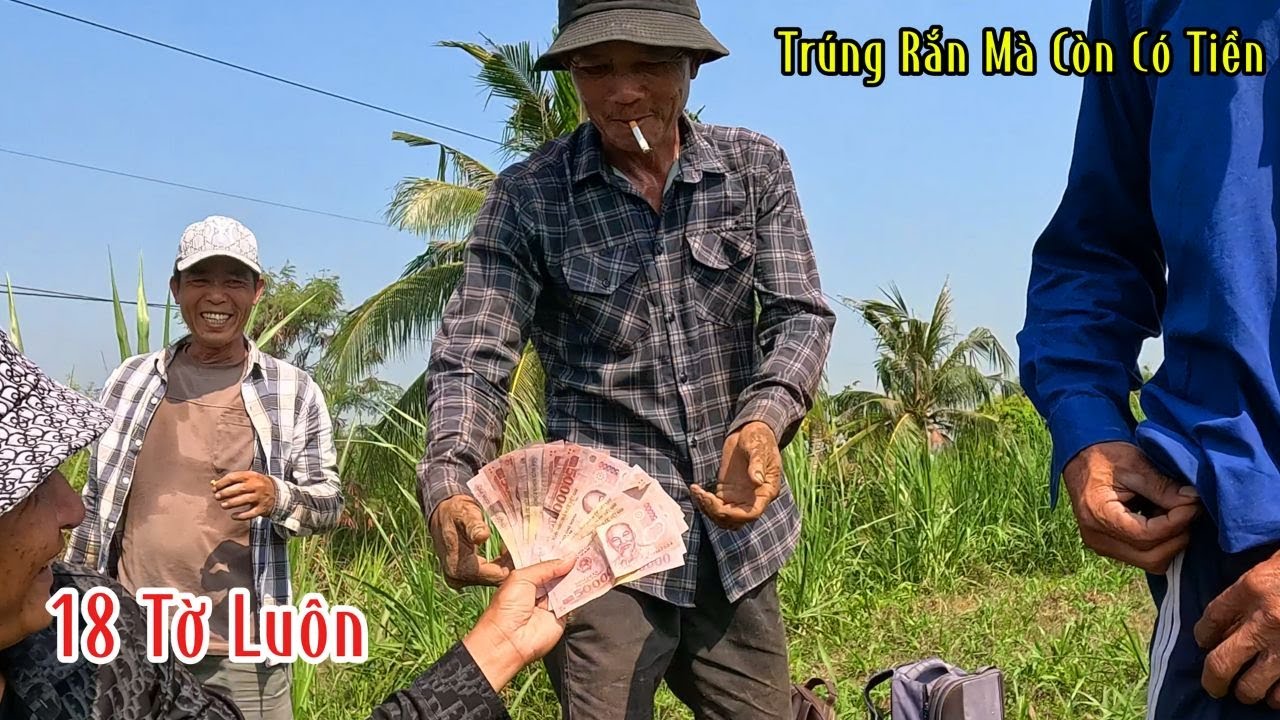 Kỷ Lục Lần Đầu Trong Đời Bắt 6 Con Rắn | Đam Mê Săn Bắt