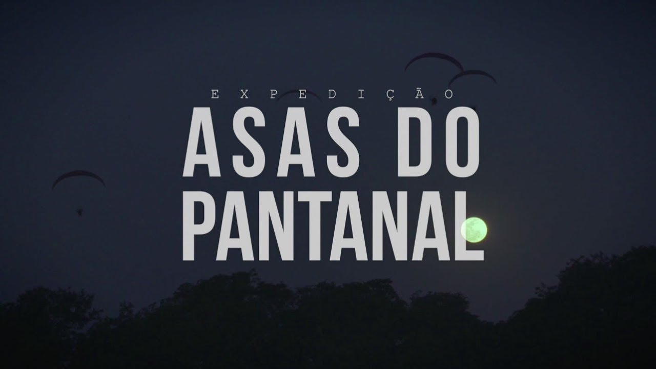 ASAS DO PANTANAL O FILME