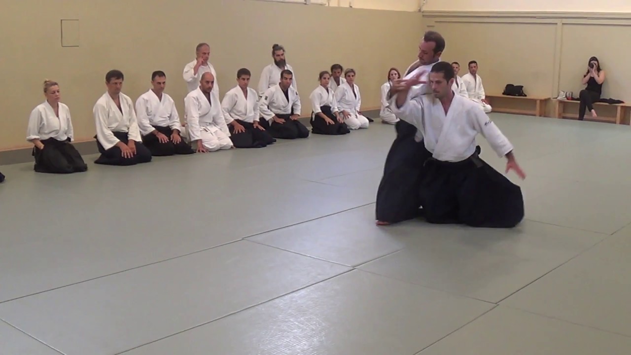 Vassilis Nykteris 5th Dan October 2016 aikido seminar