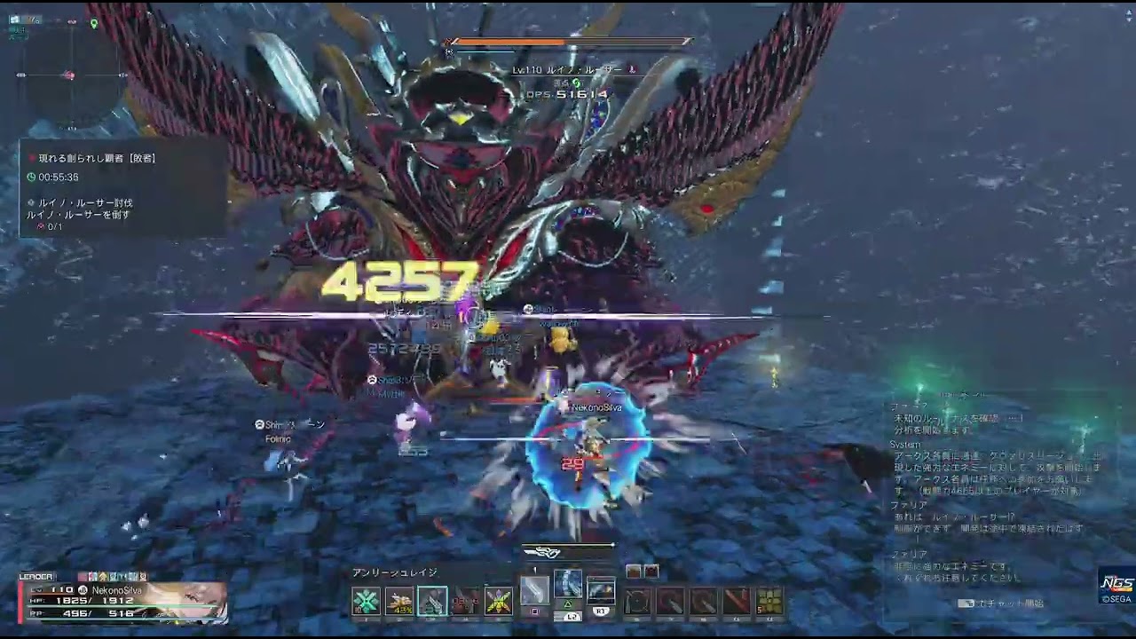 ファンタシースターオンライン2 NGS