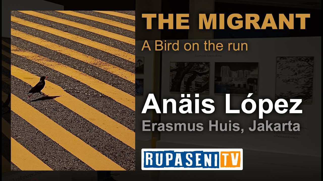 Art Exhibition - The Migrant 