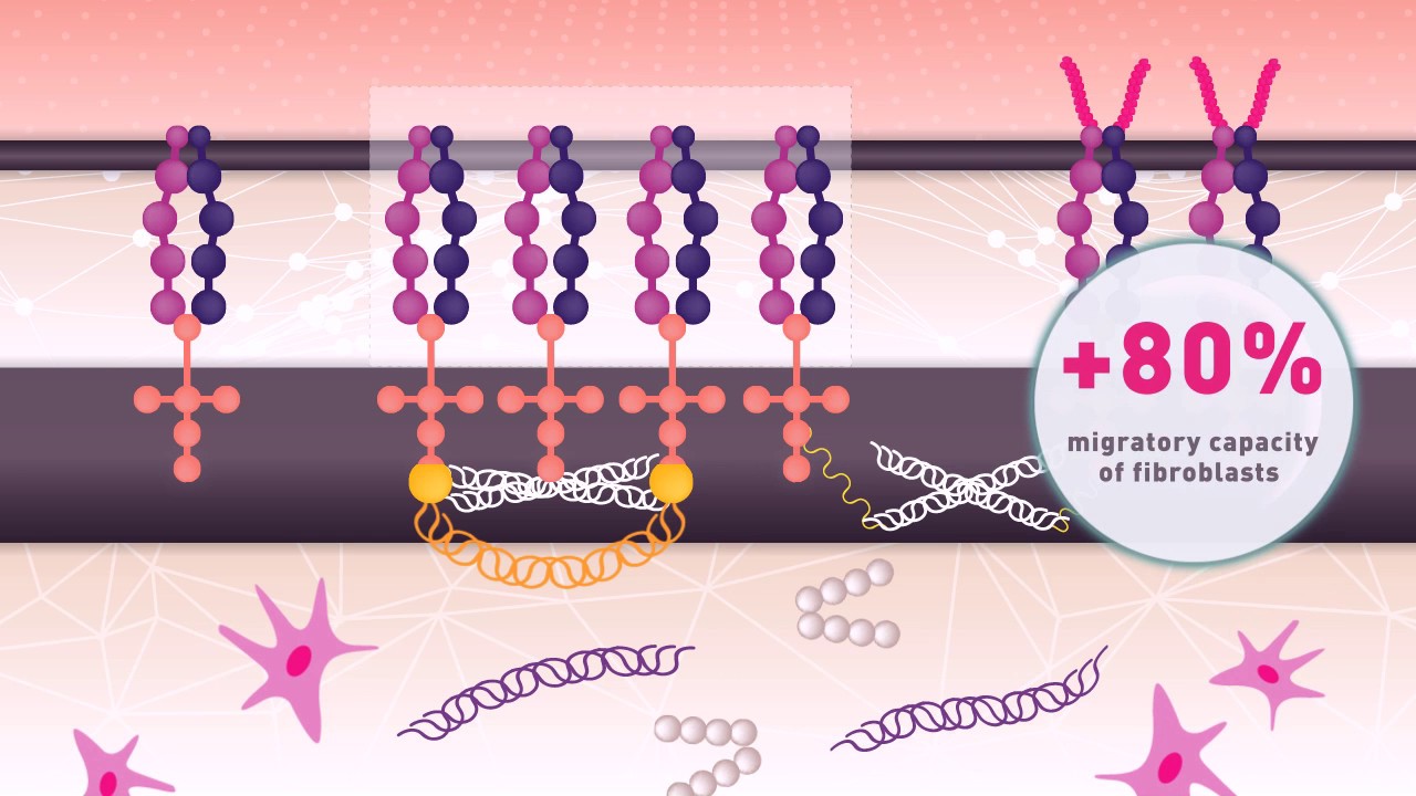 How does Gatuline® Link n Lift act on skin?