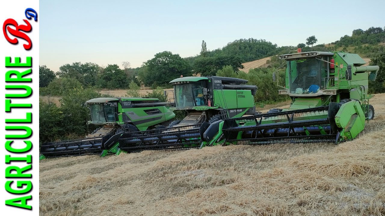 Deutz-Fahr  C9206TSB - 6060HTS - 5520H - Azienda Agricola Il Gelso (Fabriano AN)