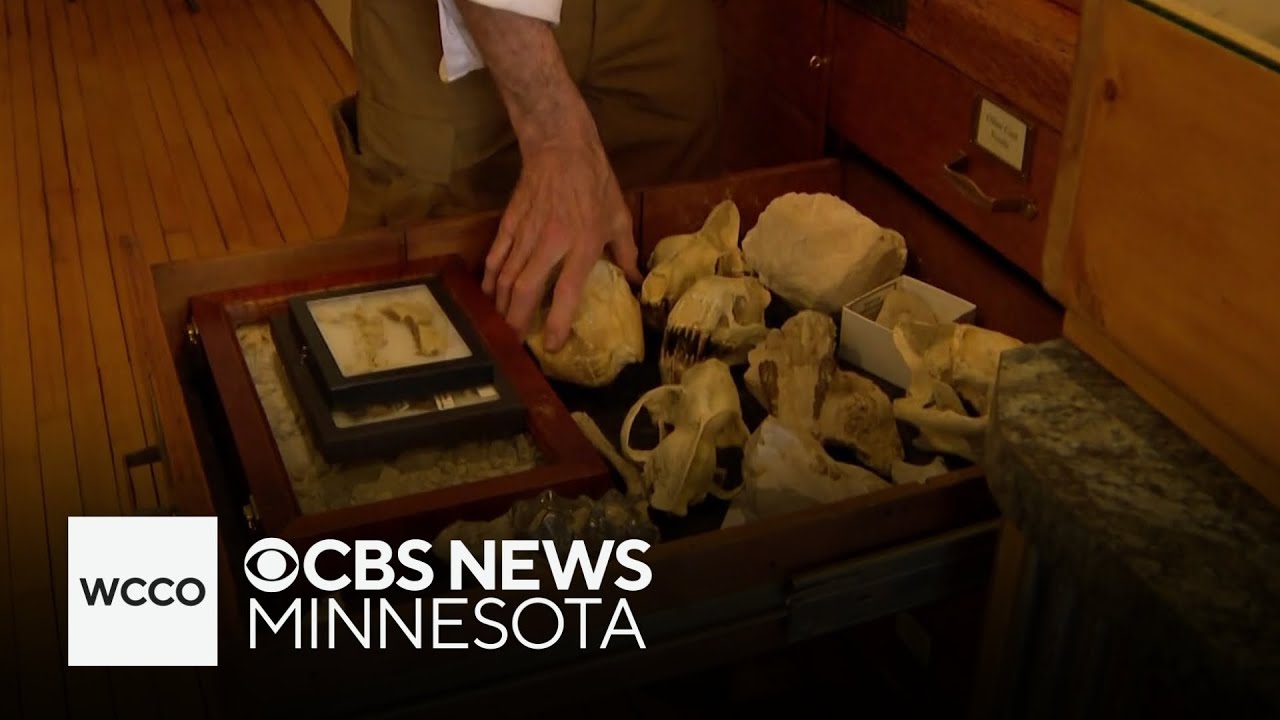 How a man turned his fossil collection into a museum