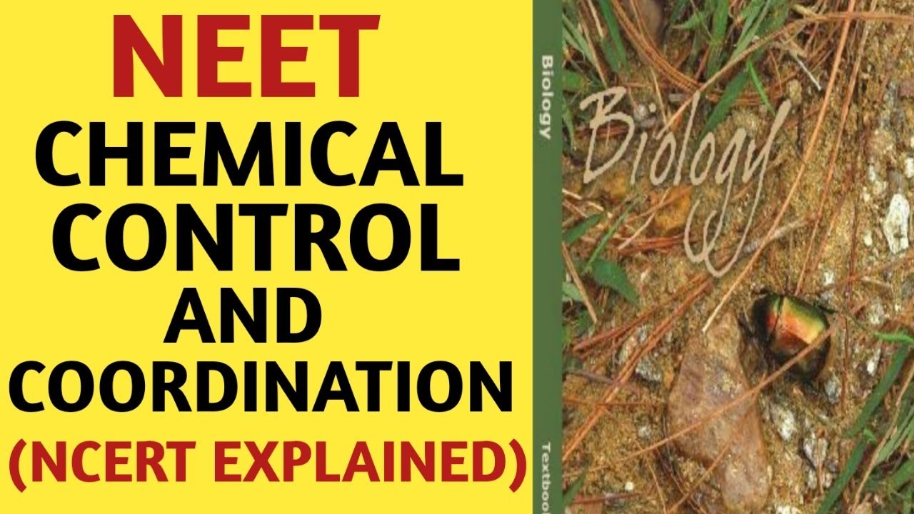 Chemical Coordination And Integration/Class 11/NCERT/Chapter 22/Quick Revision Series/NEET/AIIMS
