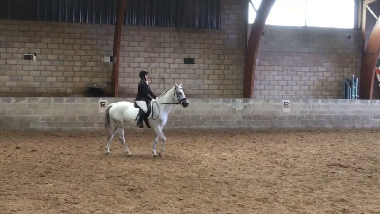 Dressage premier degré , Léa et Thaissa