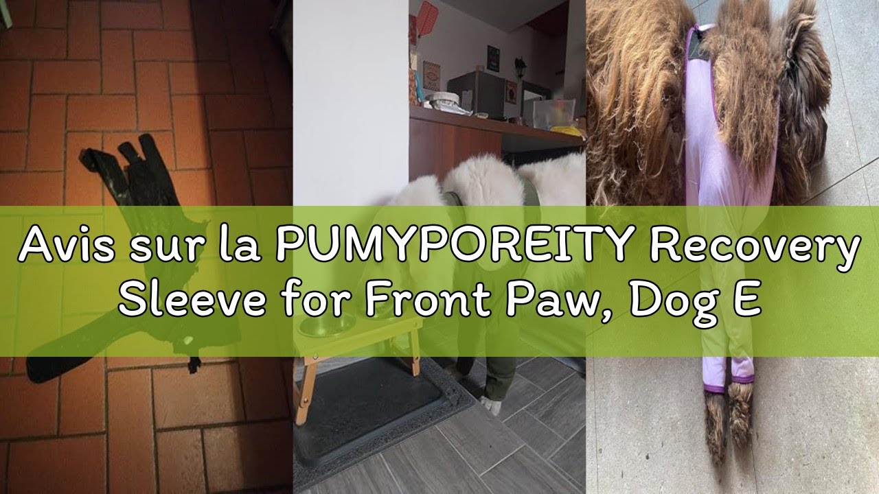 Avis sur la PUMYPOREITY Recovery Sleeve for Front Paw, Dog Elbow Protector Seal Leg Protector for Do