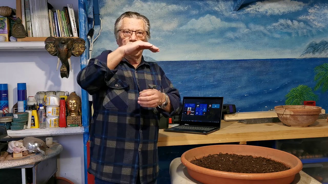 Que sustratos uso para mis bonsai y estaca de peral.