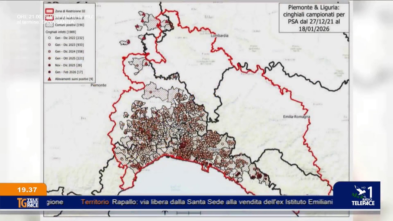 TeleRadioPace è in diretta