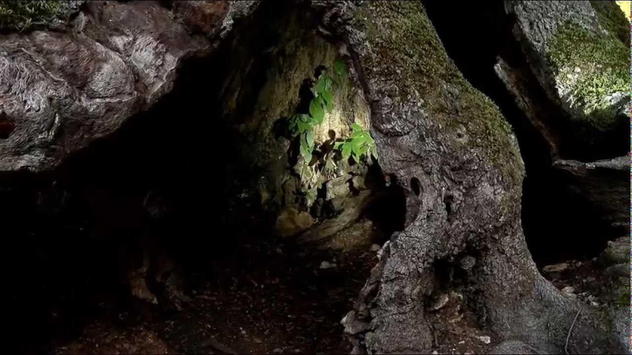 SUPRAMONTE - Official promo
