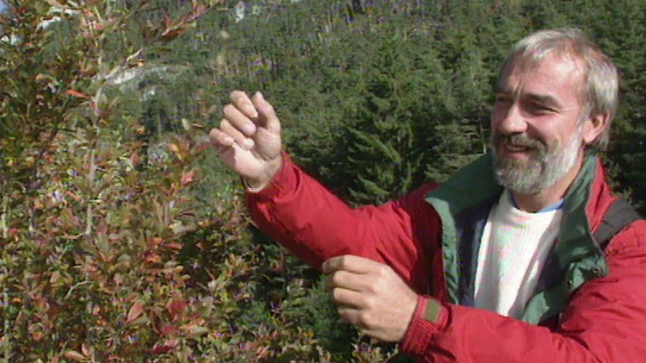 Voyage Naturaliste - Balade d'Autome en Vanoise