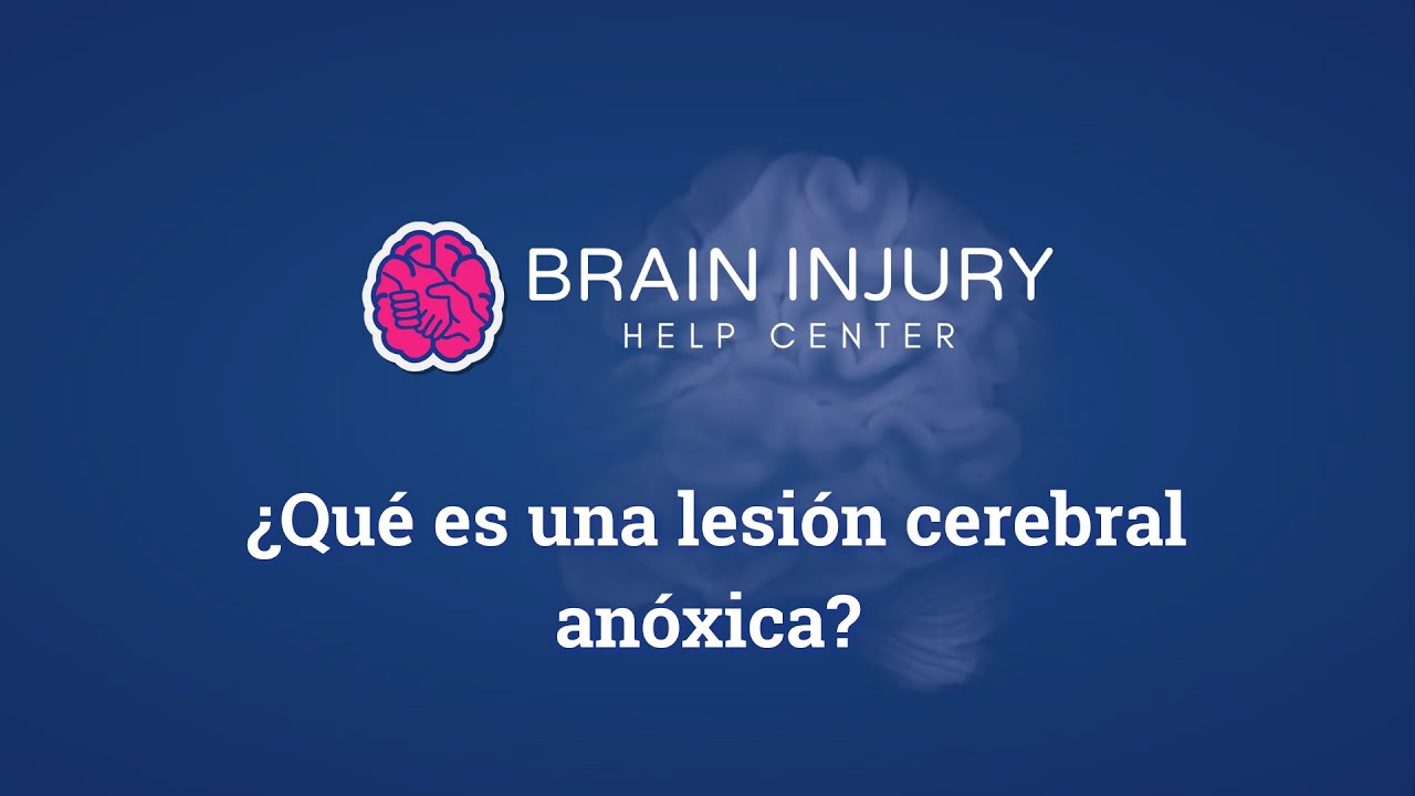 &iquest;Qu&eacute; es una Lesi&oacute;n Cerebral An&oacute;xica?